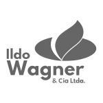 Logo do parceiro Ildo Wagner